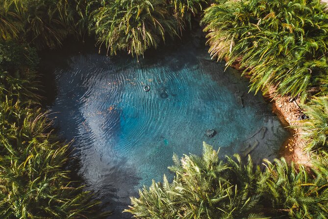 Chemka Hotsprings and Serval Wildlife Private Day Trip - Location Details