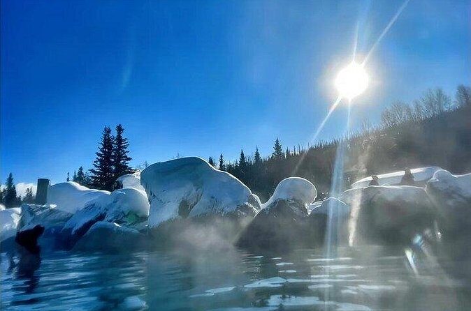 Chena Hot Spring Day Tour - Practical Details and Tips