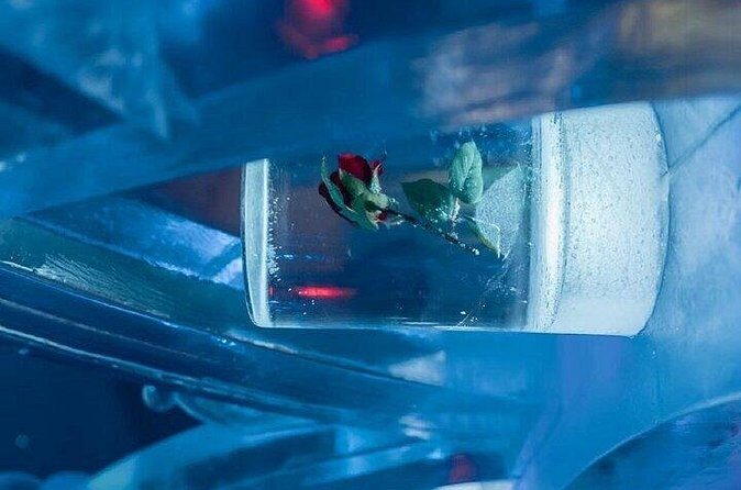 Chena Hot Spring Day Tour - Who Will Love This Tour?