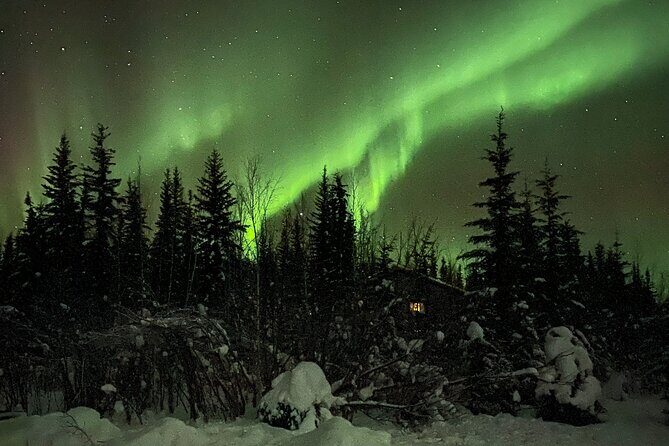 Chena Hot Springs Northern Lights Aurora Borealis From Fairbanks - An In-Depth Look at the Tour Itinerary