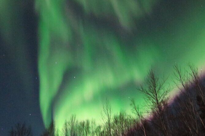 Chena Hot Springs plus Aurora Chase Tour - The Aurora Chase Experience