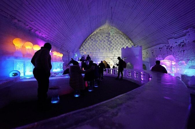 Chena Hot Springs plus Aurora Chase Tour - Evaluating the Value for Money