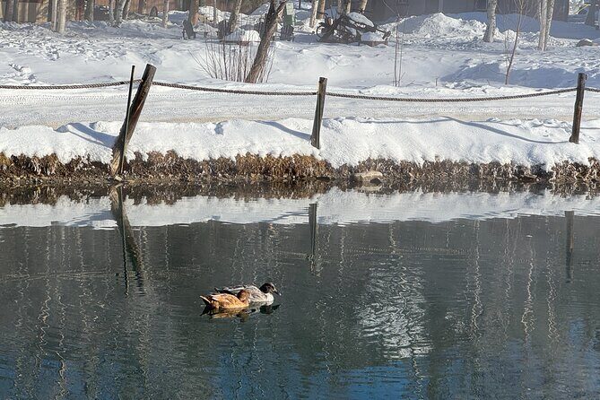 Chena Hot Springs Small Group Tour - Is This Tour Right for You?