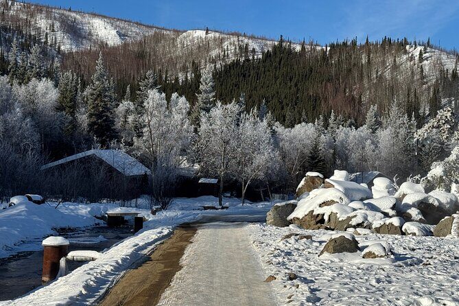 Chena Hot Springs Small Group Tour - The Sum Up: Who Should Consider This Tour?
