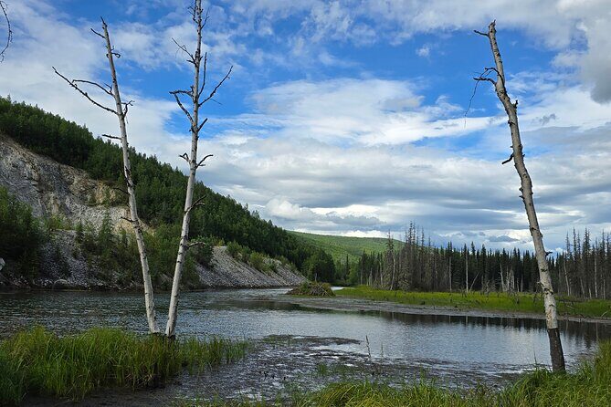 Chena Hot Springs Tour: Relax in Natural Mineral Waters - Exploring the Scenic Drive and Wildlife Opportunities