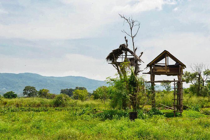Chena Lunch Experience from Tissamaharama - Discovering the Depth of the Chena Lunch Experience