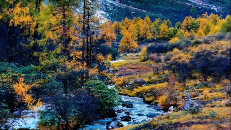 Chengdu: 5-Day Tour with Glacier& TibetanVillage& Jiuzhaigou - The Sum Up