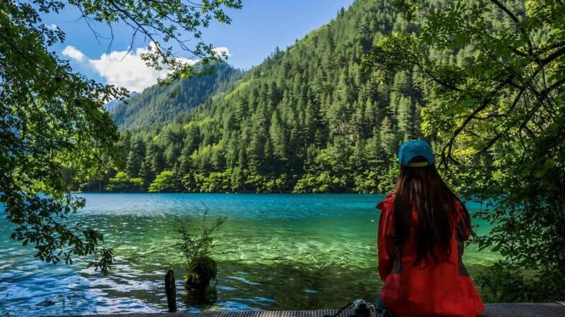 Chengdu: 7-Day Private Tour with Jiuzhaigou & Emeishan - Chengdu: 7-Day Private Tour with Jiuzhaigou & Emeishan