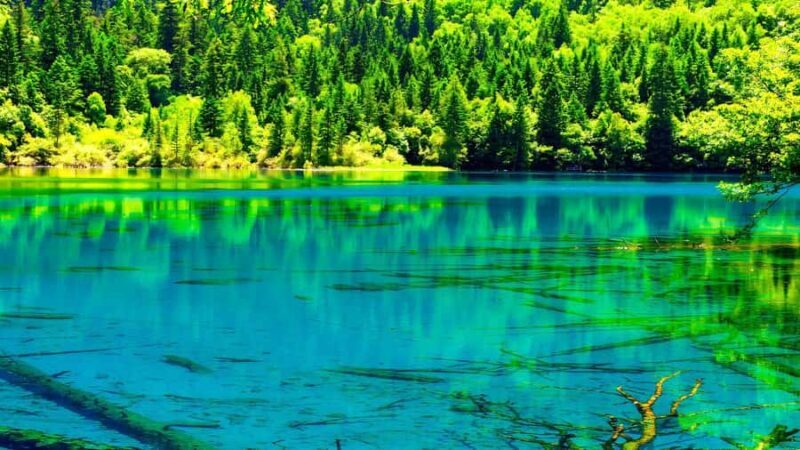 Chengdu: 7-Day Private Tour with Jiuzhaigou & Emeishan - FAQ