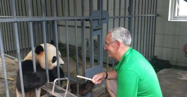 Chengdu: All-Inclusive Panda Volunteering Experience - Directions