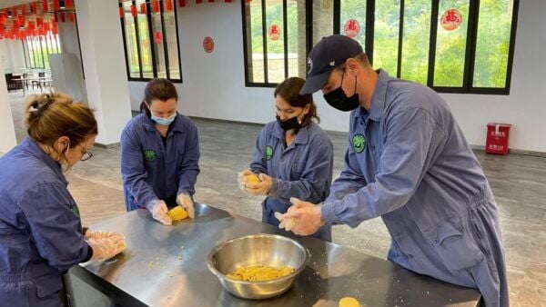 Chengdu: All-Inclusive Panda Volunteering Experience - Frequently Asked Questions