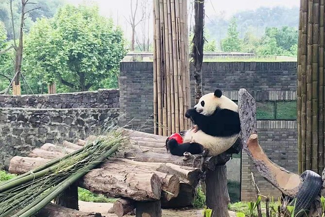 Chengdu All Panda Experience Private Day Tour - Inclusions
