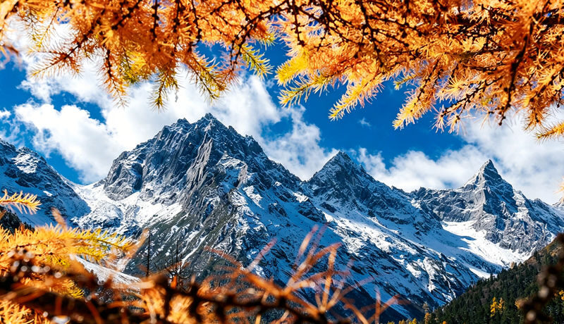 Chengdu Bipenggou Full-Day Alpine Scenery Tour - What the guide does, and what the guide does not