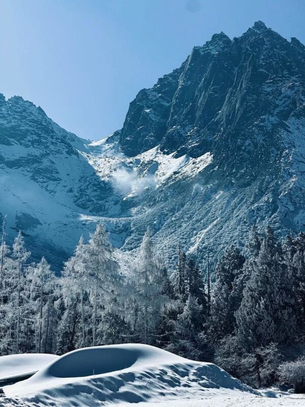 Chengdu Bipenggou Full-Day Alpine Scenery Tour - Is the price good value?