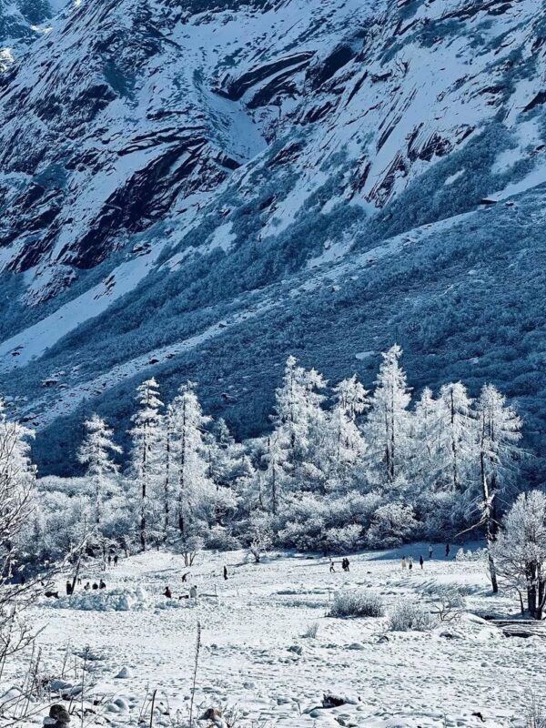 Chengdu Bipenggou Full-Day Alpine Scenery Tour - Booking details worth checking