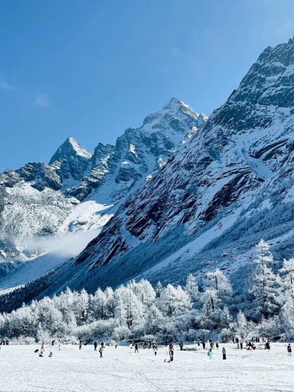 Chengdu Bipenggou Full-Day Alpine Scenery Tour - Who should take this trip?