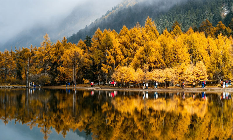 Chengdu Bipenggou Full-Day Alpine Scenery Tour - Should you book the Bipenggou day trip?