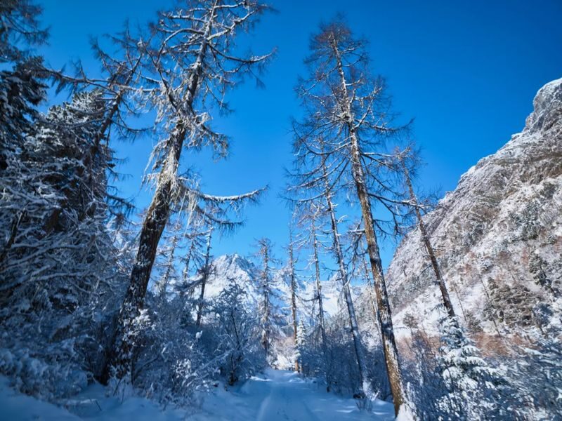 Chengdu Bipenggou Full-Day Mountain Tour with Hiking - What guide service adds, and where it can fall short