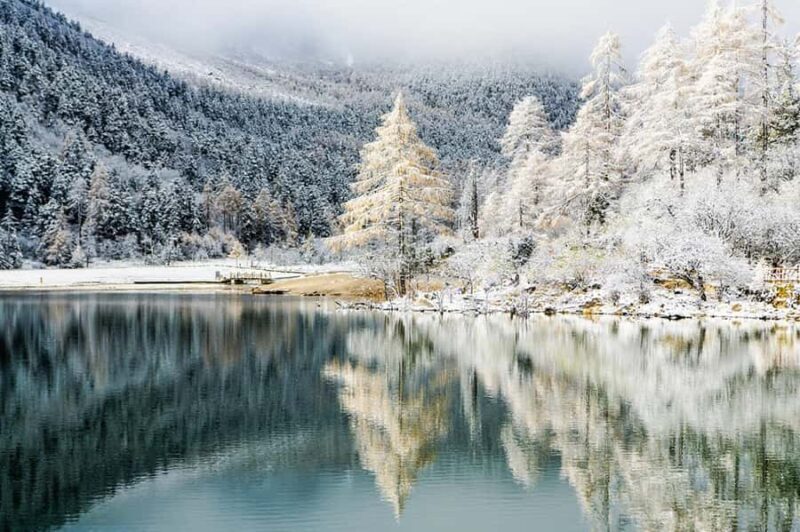 Chengdu: Bipenggou Scenic Area Day Trip with Guide - What Reviews Reveal About the Experience