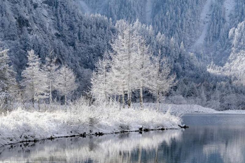 Chengdu: Bipenggou Scenic Area Day Trip with Guide - Who Will Love This Tour?