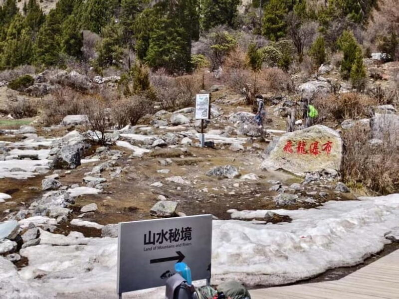 Chengdu: Bipenggou Scenic Area Private Tour - Who Is This Tour Best For?