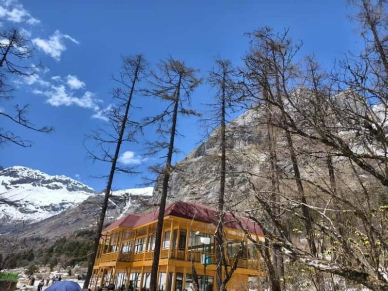 Chengdu: Bipenggou Scenic Area Private Tour - The Itinerary in Detail: What to Expect