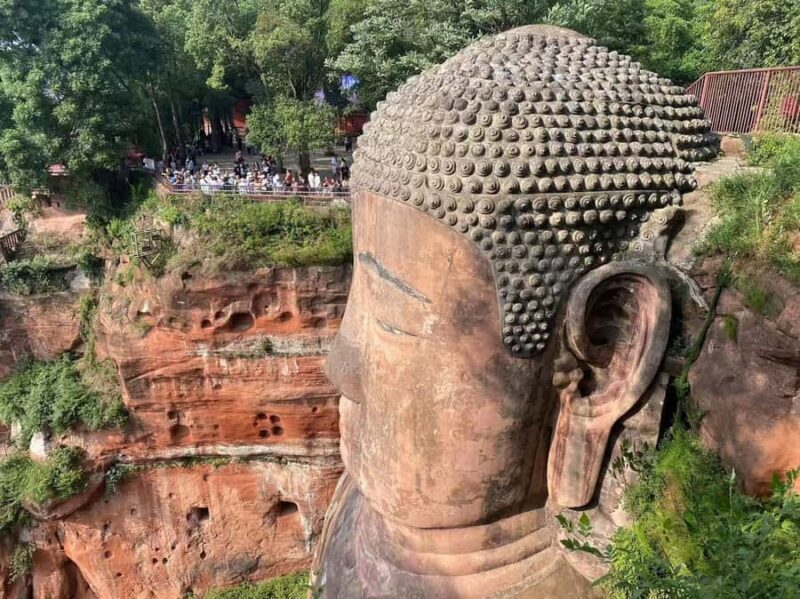 Chengdu: Chengdu Day Trip with Giant Panda and Leshan Buddha - Meta description: