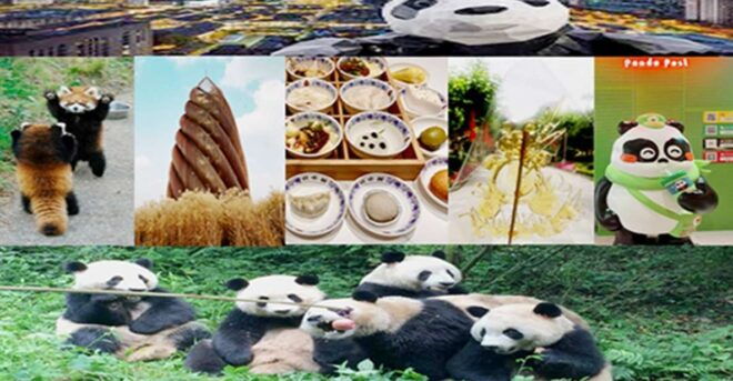 Chengdu Downtown Essences Private Day Tour - Additional Information