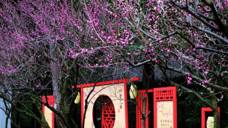 Chengdu: Du Fu Thatched Cottage Poetry Museum - Practical Details and Tips