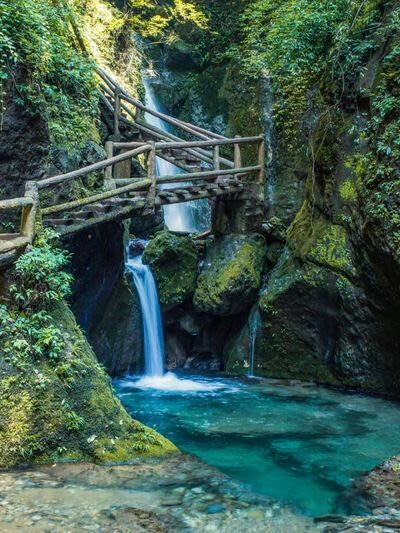 Chengdu Dujiangyan & Mount Qingcheng Day Tour (including natural scenery) - The guide can shape the whole day