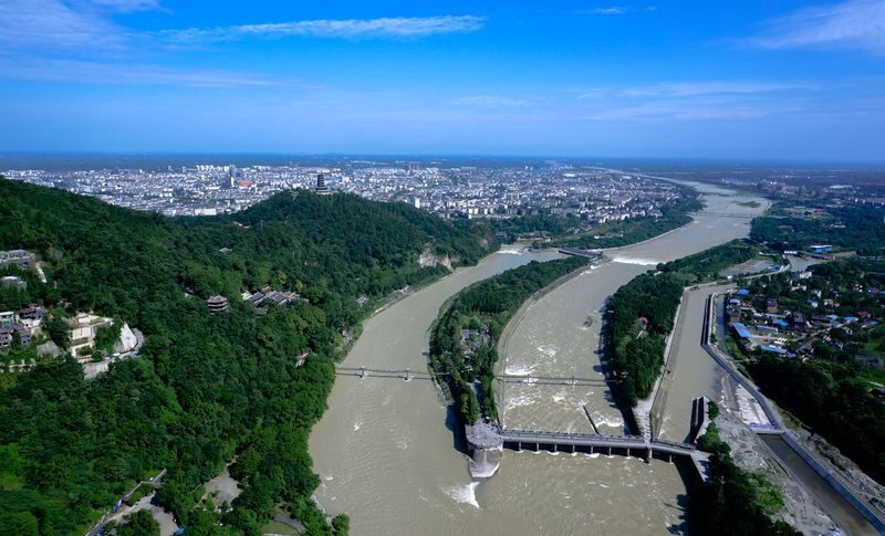 Chengdu Dujiangyan & Panda Valley Private Full-Day Tour - Who Will Get the Most From This Trip