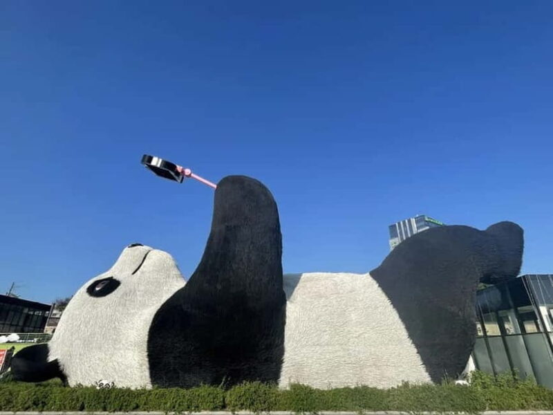 Chengdu: Dujiangyan, Qingcheng Mountain, and Blue Tears Tour - Exploring the Day: A Step-by-Step Breakdown