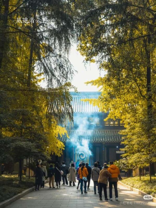 Chengdu Food & Blessings Tour: Market Bites & Temple Fortune - What’s Not Included & Important Considerations