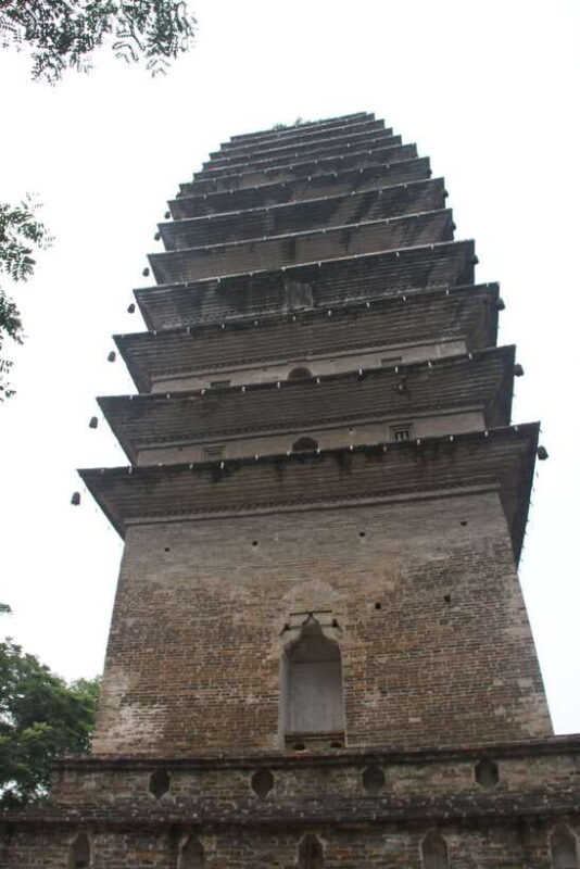 Chengdu: Giant Panda and Leshan Buddha Sall Group Day Tour - Frequently Asked Questions