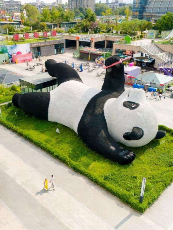 Chengdu: Hidden Wonders Day Tour with Wolong Panda Base - Good To Know