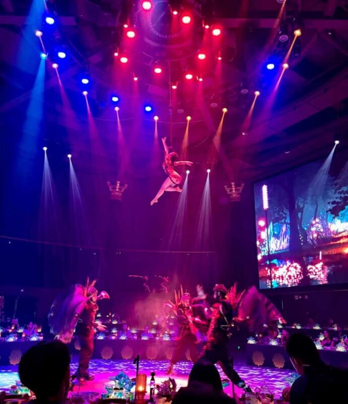 Chengdu Hongdingyan | Immersive Royal Banquet Show - Good To Know