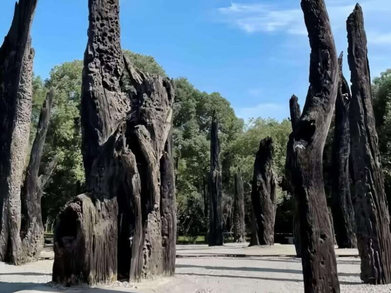 Chengdu Intangible Cultural Heritage One-Day Tour - A Deep Dive into the Experience