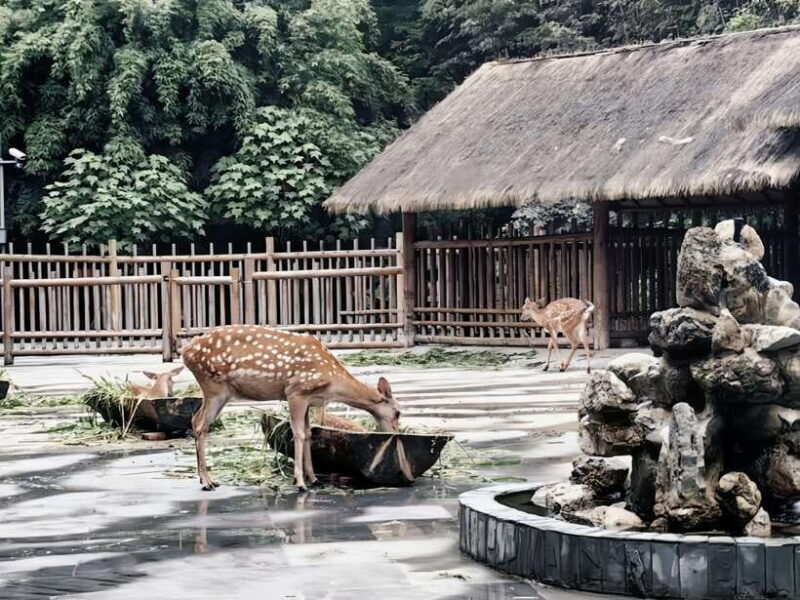 Chengdu Intangible Cultural Heritage One-Day Tour - FAQ