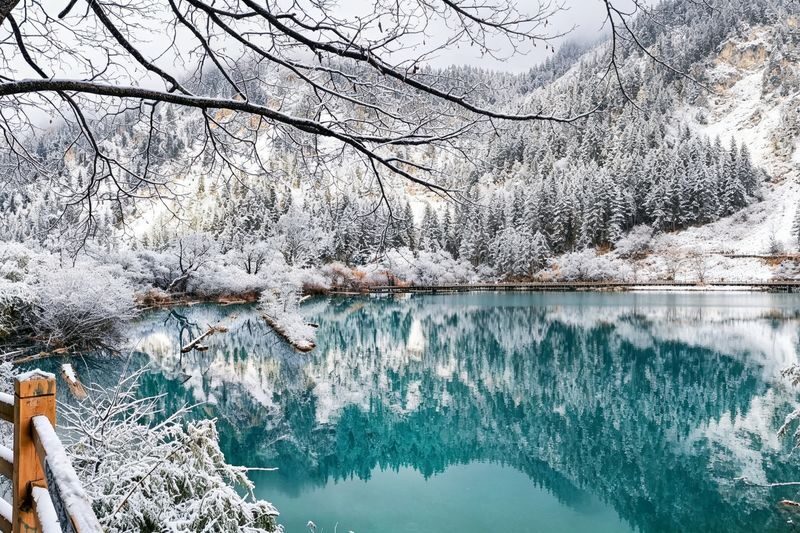 Chengdu Jiuzhaigou Full-Day Small Group Tour - What happens once you reach Jiuzhaigou