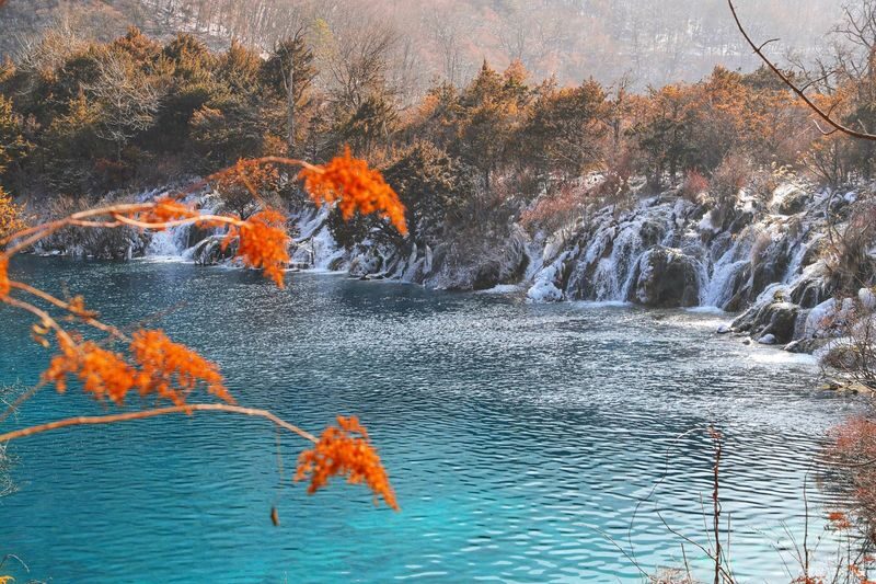 Chengdu Jiuzhaigou High-Speed Rail Round Trip One-Day Tour (Optional English Guide) - Jiuzhaigou’s lakes, forests, and waterfalls