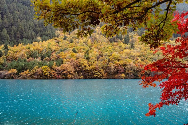 Chengdu Jiuzhaigou High-Speed Rail Round Trip One-Day Tour (Optional English Guide) - The rail journey and the day’s tight timing