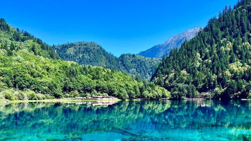 Chengdu + Jiuzhaigou + Huanglong + Four Girls Mountain + Bipenggou 4 days 3 nights - Who this trip suits best