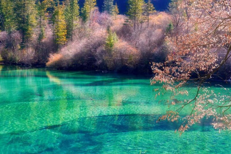 Chengdu: Jiuzhaigou+Huanglong 2-Day private Tour - FAQ