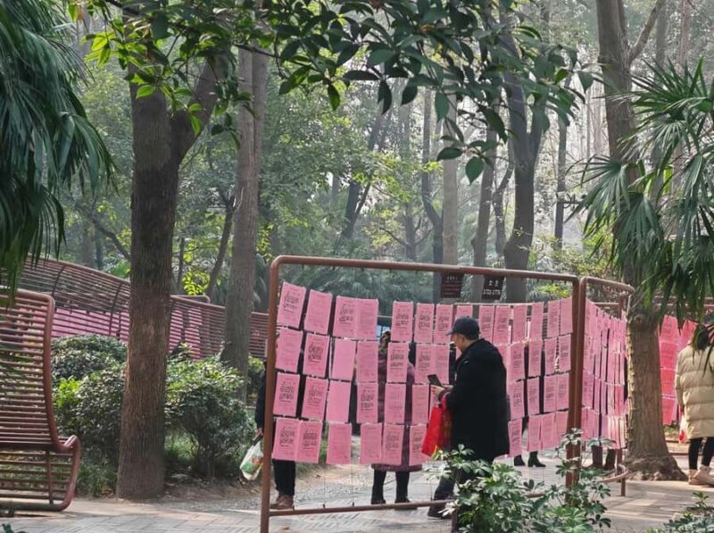 Chengdu: Kuanzhai Alley, Peoples Park, Tea, Opera & Hot Pot - Practical Details and Overall Value