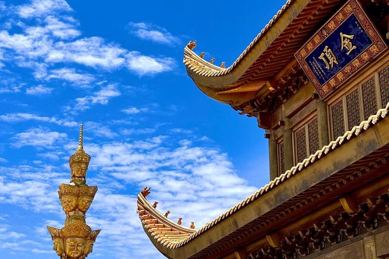 Chengdu Mount Emei Full-Day Discovery Tour - Who is likely to enjoy this outing