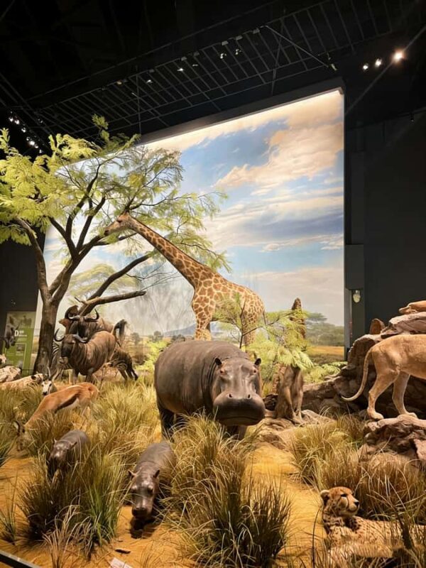 Chengdu: Natural History Museum Guided Tour - Good To Know