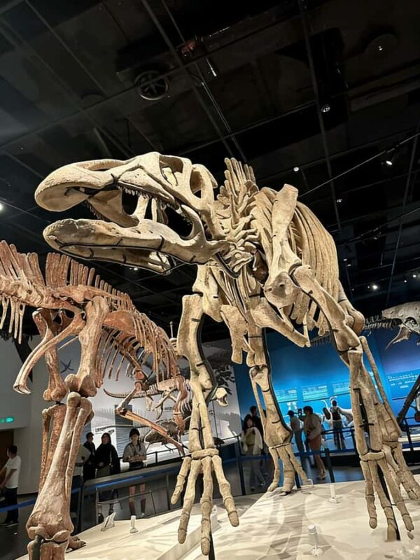 Chengdu: Natural History Museum Guided Tour - Exploring the Chengdu Natural History Museum