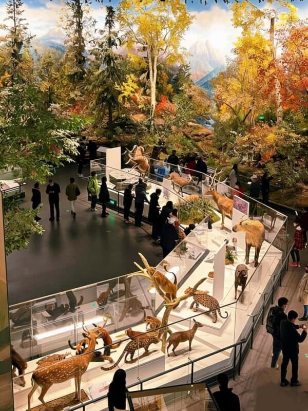 Chengdu: Natural History Museum Guided Tour - FAQ