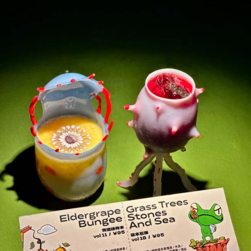 Chengdu Nightlife: Discover Hidden Bars with a Local Friend - Who Should Book This?