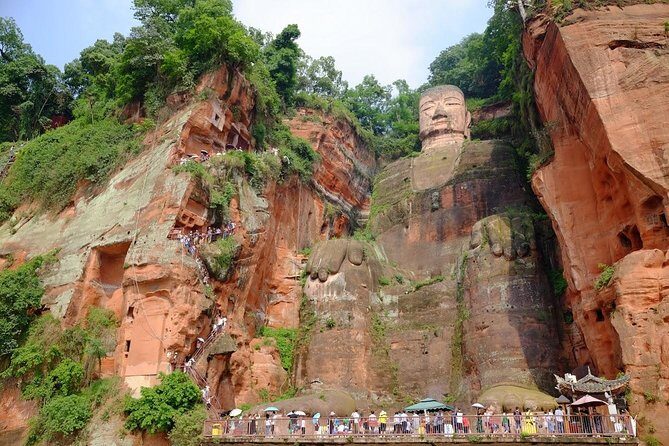 Chengdu panda base and Leshan Giant Buddha one day tour - What to Expect from the Tour